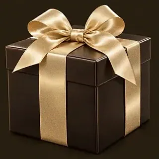 Wrapped gift box — Royal Reels
